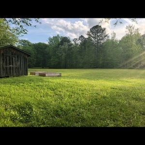 Meet your Posher, Grace